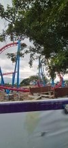 IMG_7732.jpeg